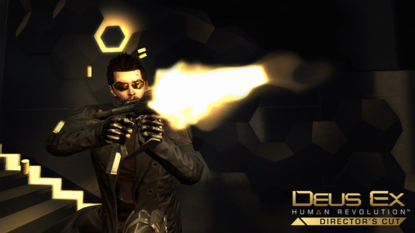 杀出重围：人类革命（不支持中文）/Deus Ex: Human Revolution